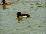 20070323 01.jpg